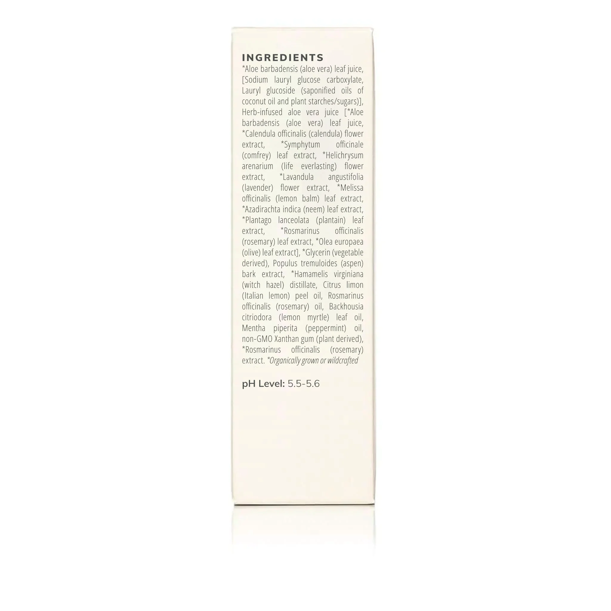 Citrus Mint Cleanser (100ml) - Image 6